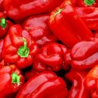 redpeppers2.jpg