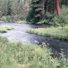 river_2.jpg