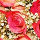 rose_bouquet.jpg