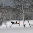 russian_winter_ap_photo_by_mikhail_metzel.jpg