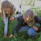 schoolgarden_300.jpg