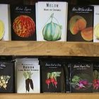seeds_340x255.jpg