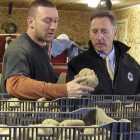 shumlin_18.jpg