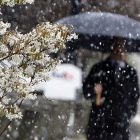 snow_600.jpg