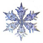 snowflake_2.jpg