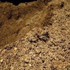soil2.jpg